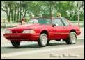 Minnesota_Duane's car